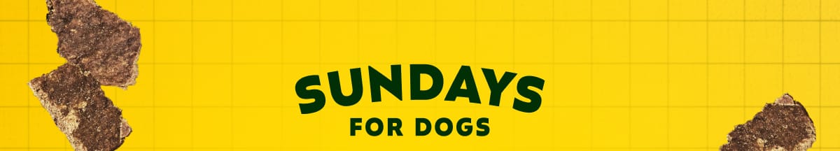 Sundays for Dogs