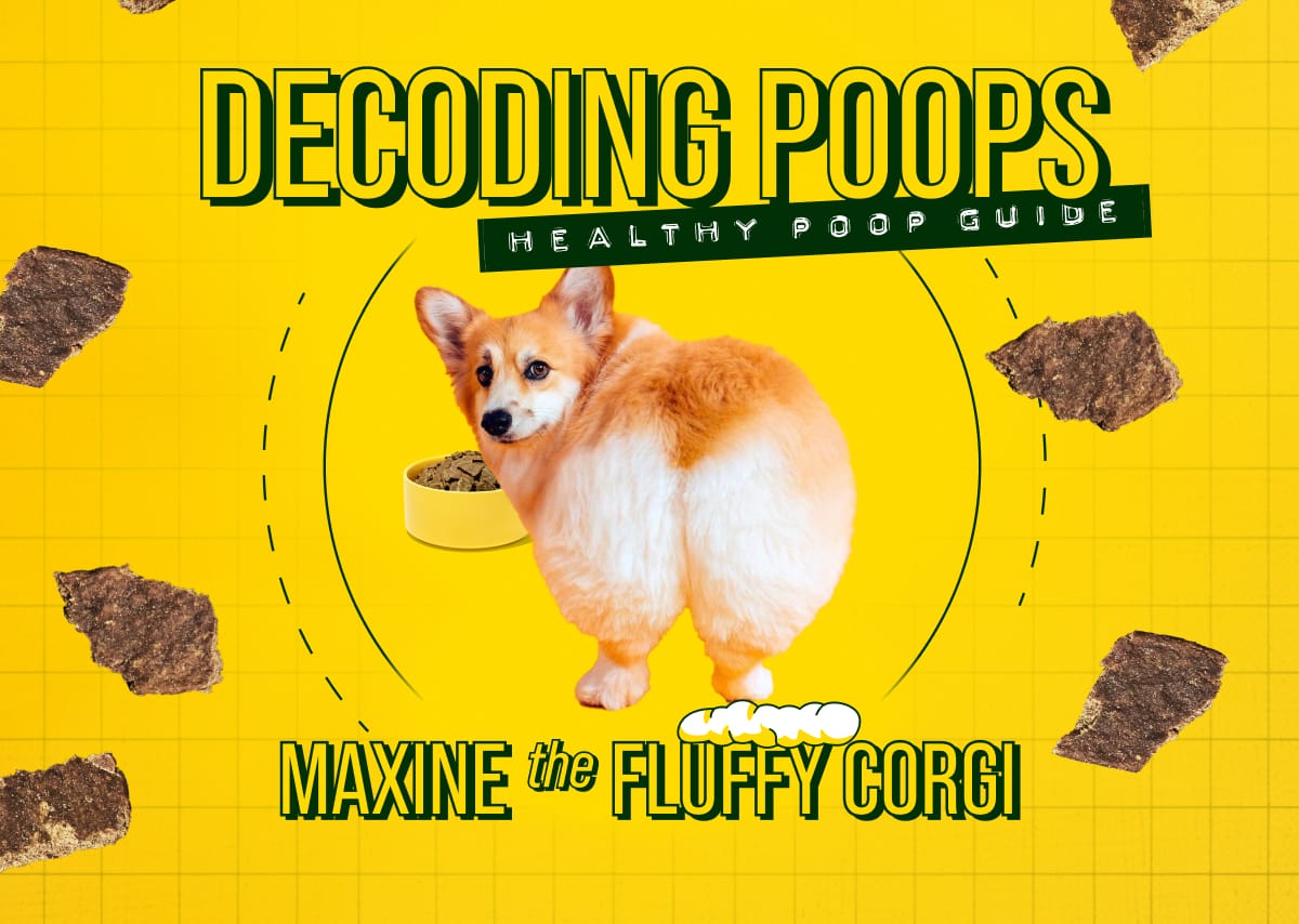Maxine Decoding Poops