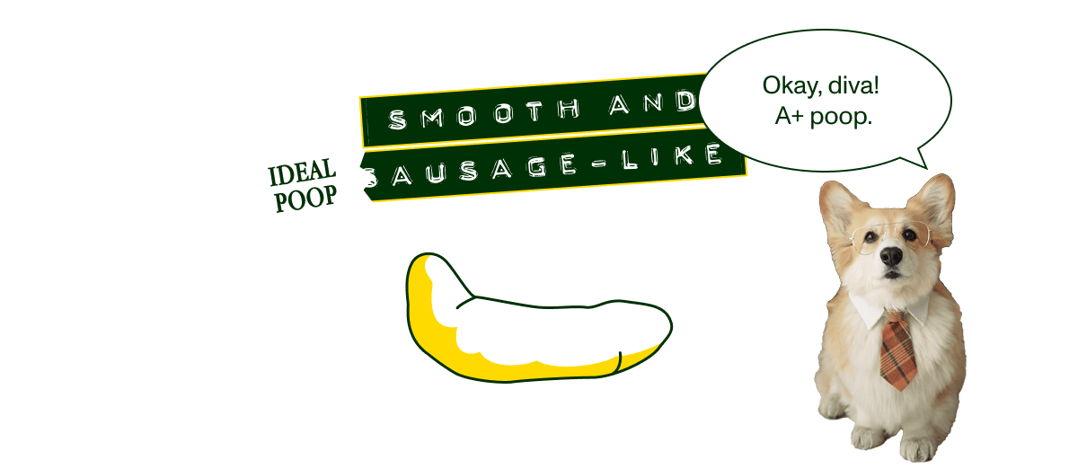 Smooth and Sausage-Like