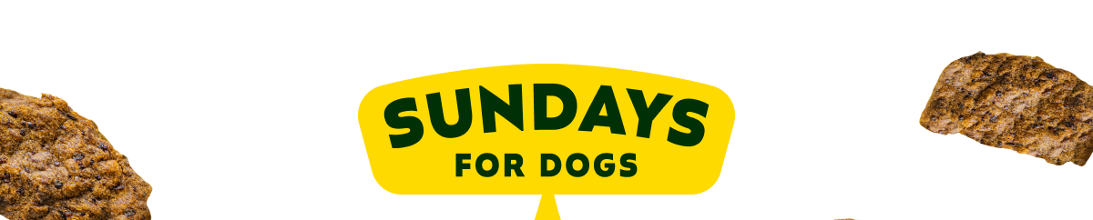 Sundays for Dogs
