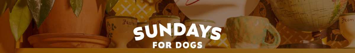 Sundays for Dogs