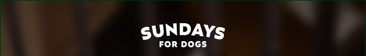 Sundays for Dogs