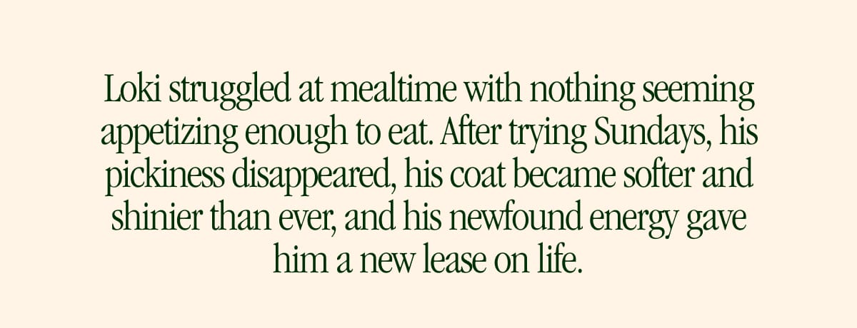 After trying Sundays, his pickiness disappeared, his coat became softer and shinier than ever, and his newfound energy gave him a new lease on life.