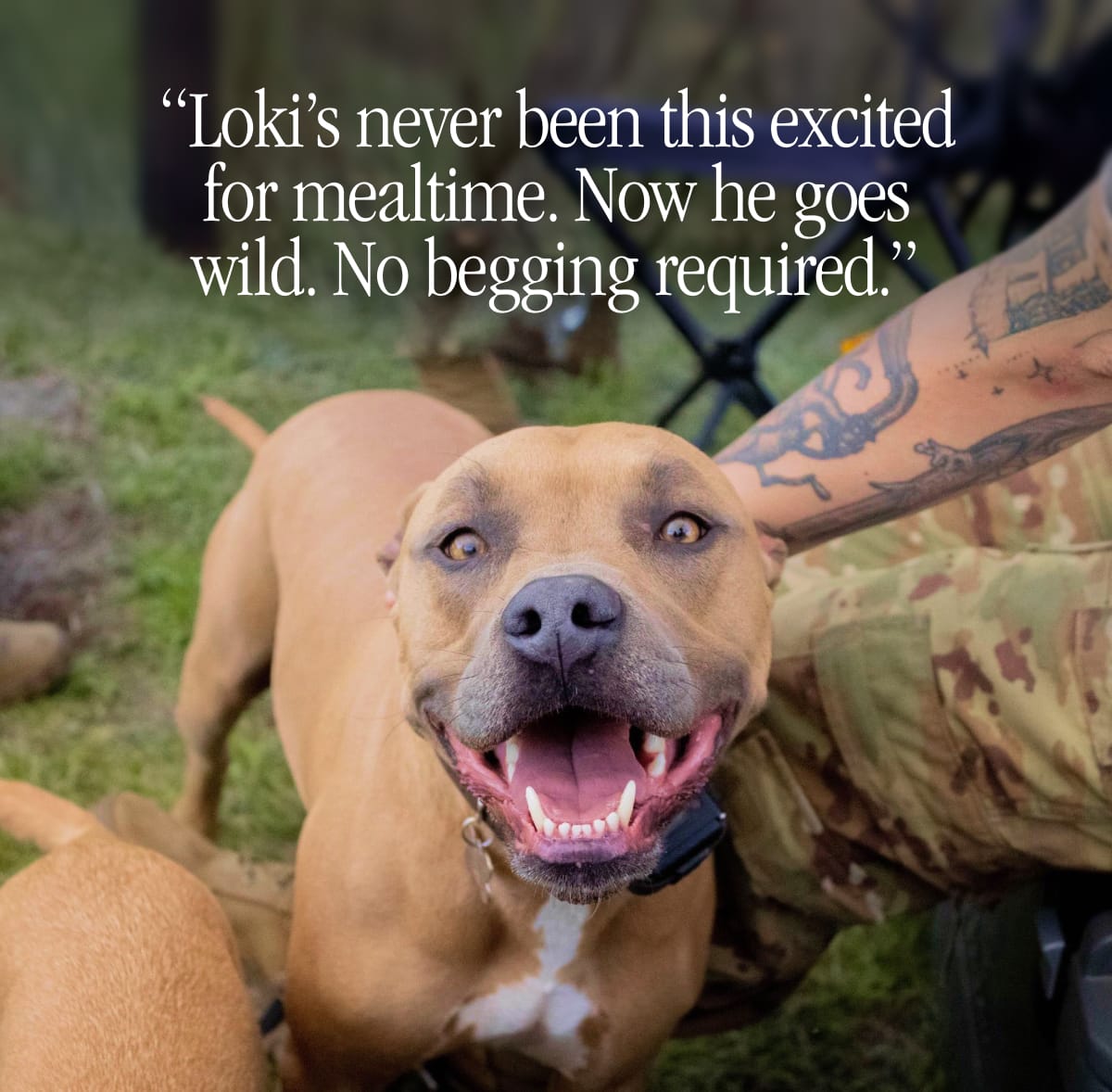 “Loki’s never been this excited for mealtime. Now he goes wild. No begging required.”