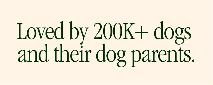 Loved by 200K+ dogs and their dog parents.