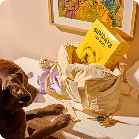 Box of Sundays near door