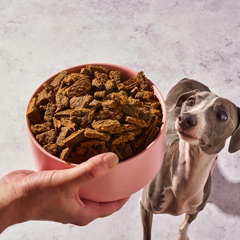 Bowl of Sundays at mealtime
