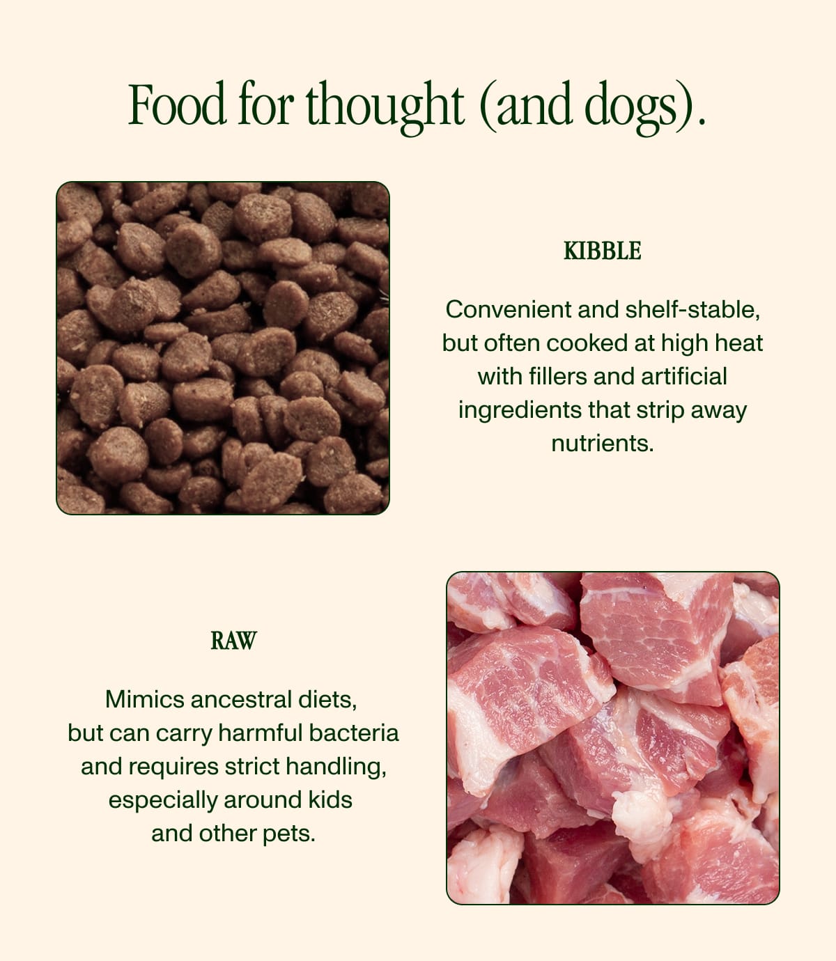Kibble & Raw