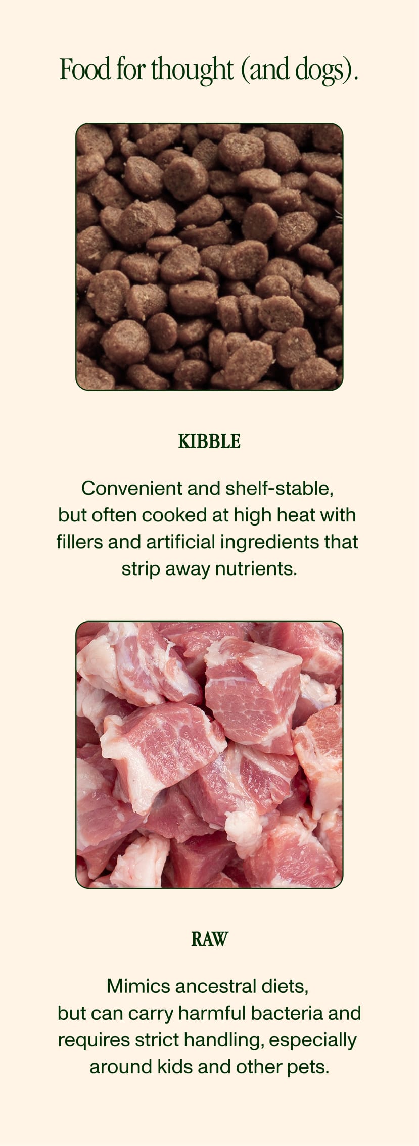 Kibble & Raw