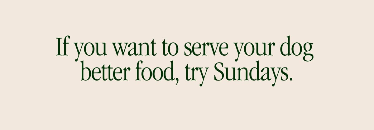 If you want to serve your dog better food, try Sundays.