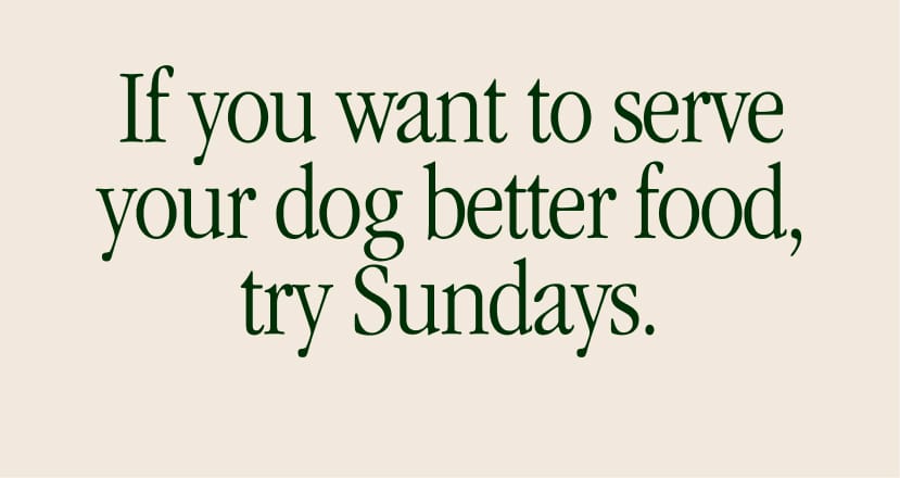 If you want to serve your dog better food, try Sundays.