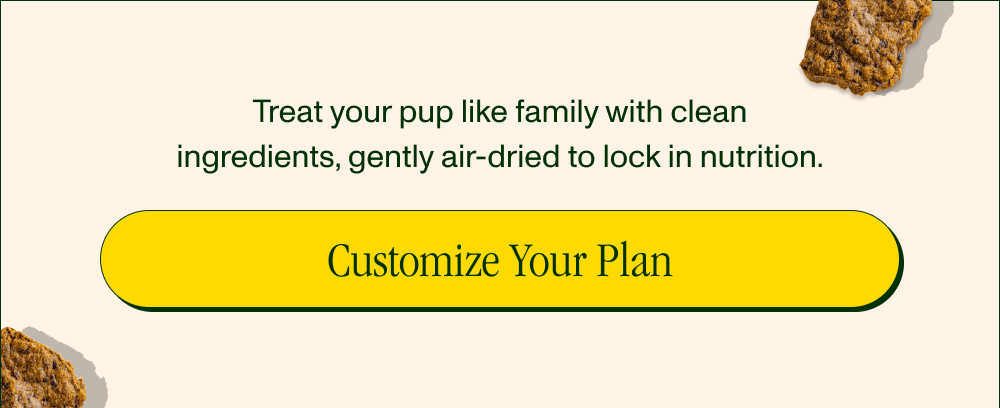 50% Off Your First Box with Code XXXXX    Treat your pup like family with clean ingredients, gently air-dried to lock in nutrition.  [Customize Your Plan]