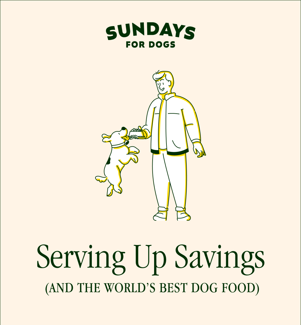 Serving Up Savings (And the World’s Best Dog Food)