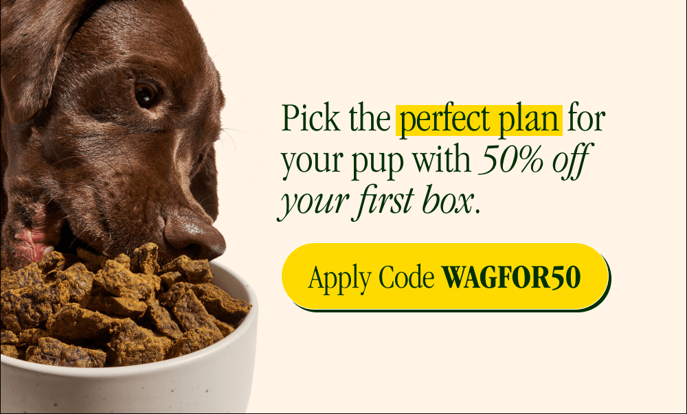 Pick the perfect plan for your pup with 50% off your first box.  [Apply Code]