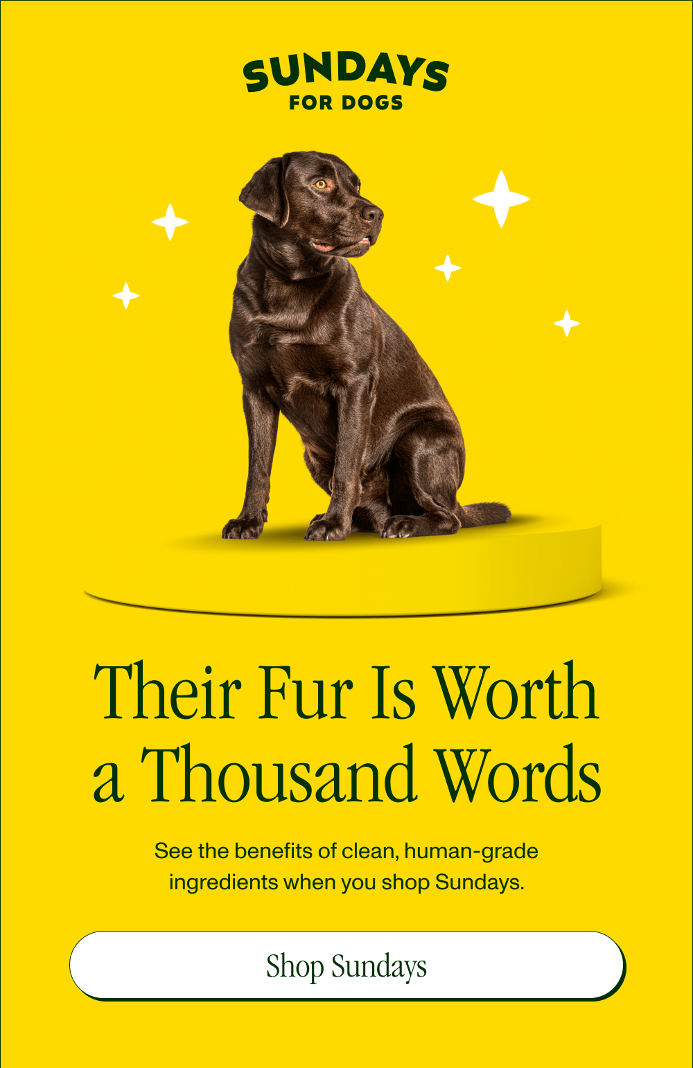 Their Fur Is Worth a Thousand Words See the benefits of clean, human-grade ingredients when you shop Sundays.   [Shop Sundays]