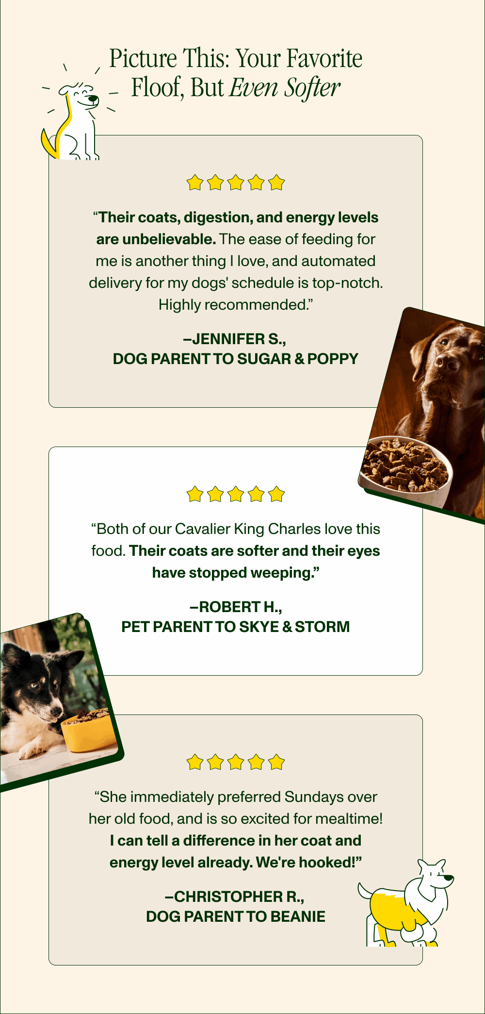 Picture This: Your Favorite Floof, But Even Softer  “Their coats, digestion, and energy levels are unbelievable. The ease of feeding for me is another thing I love, and automated delivery for my dogs' schedule is top-notch. Highly recommended.” –Jennifer S., Dog Parent to Sugar & Poppy  “Both of our Cavalier King Charles love this food. Their coats are softer and their eyes have stopped weeping.” –Robert H. Pet Parent to Skye & Storm  “She immediately preferred Sundays over her old food, and is so excited for mealtime! I can tell a difference in her coat and energy level already. We're hooked!” –Christopher R., Dog Parent to Beanie