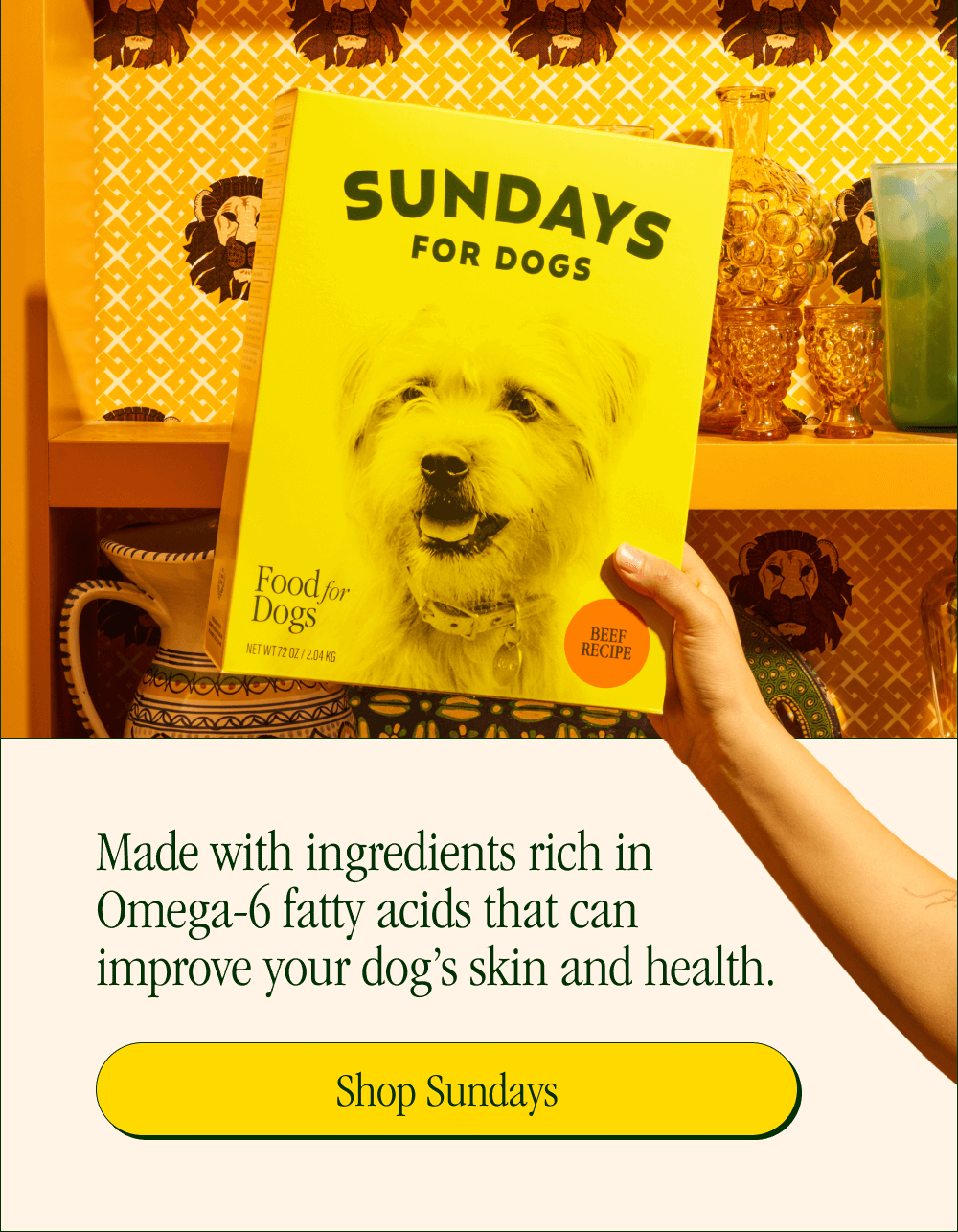 Made with ingredients rich in Omega-6 fatty acids that can improve your dog’s skin and health.  [Shop Sundays]