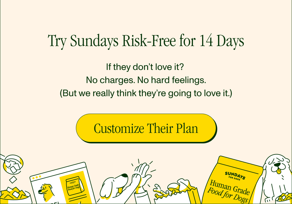 Try Sundays Risk-Free for 14 Days If they don't love it?  No charges. No hard feelings.  (But we really think they're going to love it.)