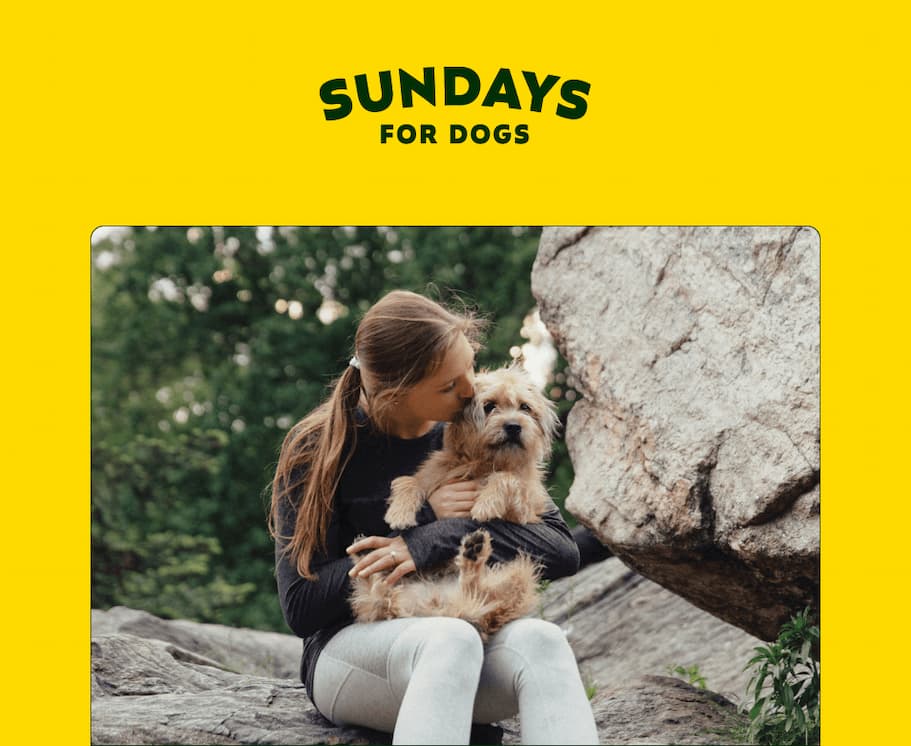 SUNDAYS FOR DOGS