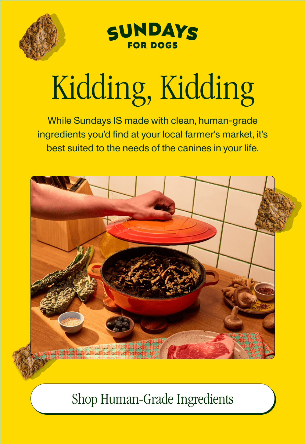Kidding, Kidding  While Sundays IS made with clean, human-grade ingredients you’d find at your local farmer’s market, it’s best suited to the needs of the canines in your life.  [Shop Human-Grade Ingredients]