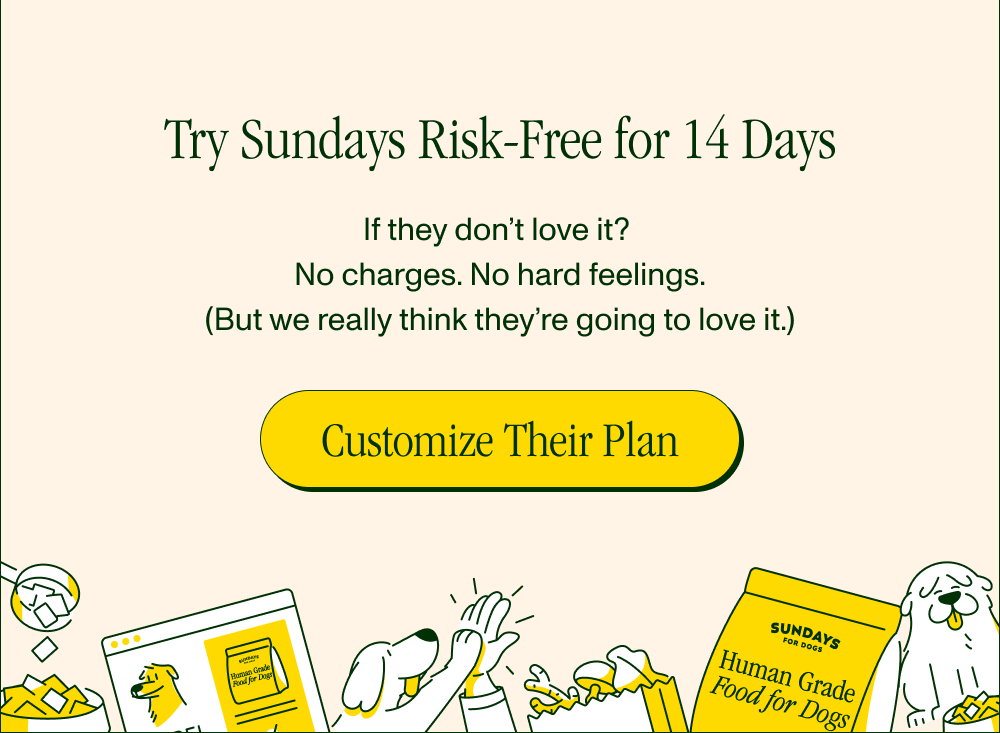 Try Sundays Risk-Free for 14 Days If they don’t love it? No charges. No hard feelings. (But we really think they're going to love it.)