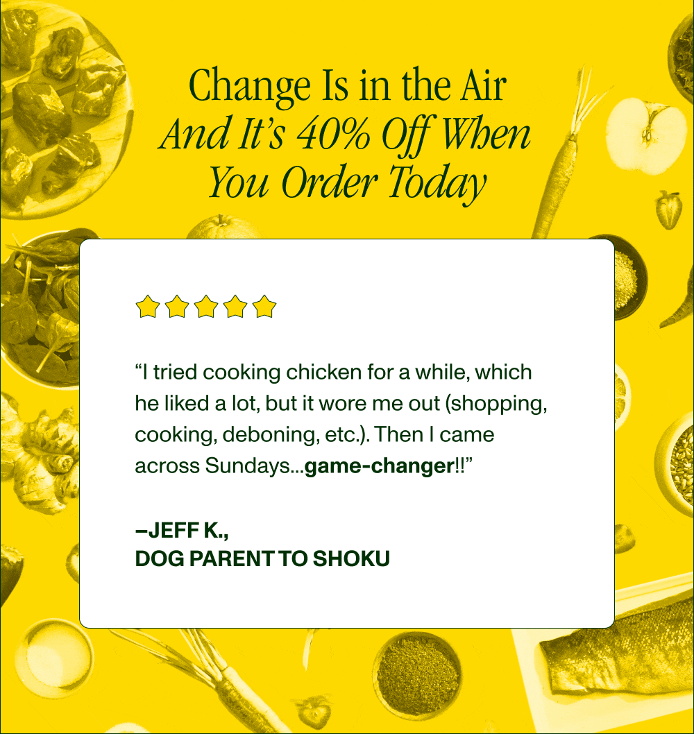 Change Is in the Air  And It’s 40% Off When You Order Today  “I tried cooking chicken for a while, which he liked a lot, but it wore me out (shopping, cooking, deboning, etc.). Then I came across Sundays...game-changer!!” –Jeff K., Dog Parent to Shoku  “Tasman is at his ideal weight, as healthy as he's ever been, and he's absolutely obsessed with Sundays! So happy to have found this brand — it's been a true game changer for Tasman's health.” –Allison P., Dog Parent to Tasman  “My two German Shepherds absolutely loved this product! The nutritional values and benefits are spectacular! I believe this product may be a game changer for the pet family world!” –Amanda B., Dog Parent to Boomer & Jax