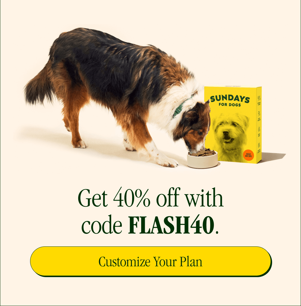 Get 40% off with code FLASH40. [Customize Your Plan]