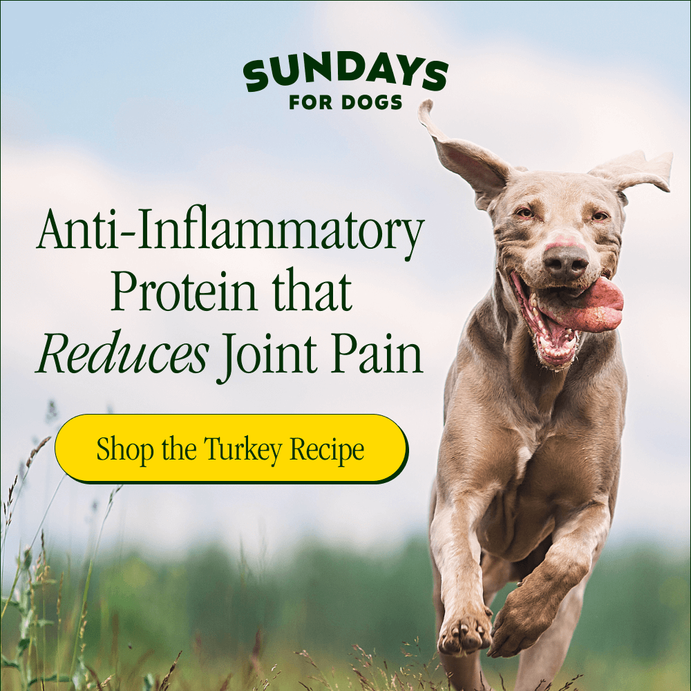 SUNDAYS FOR DOGS.  Anti-Inflammatory Protein that Reduces Joint Pain [ Shop the Turkey Recipe ]