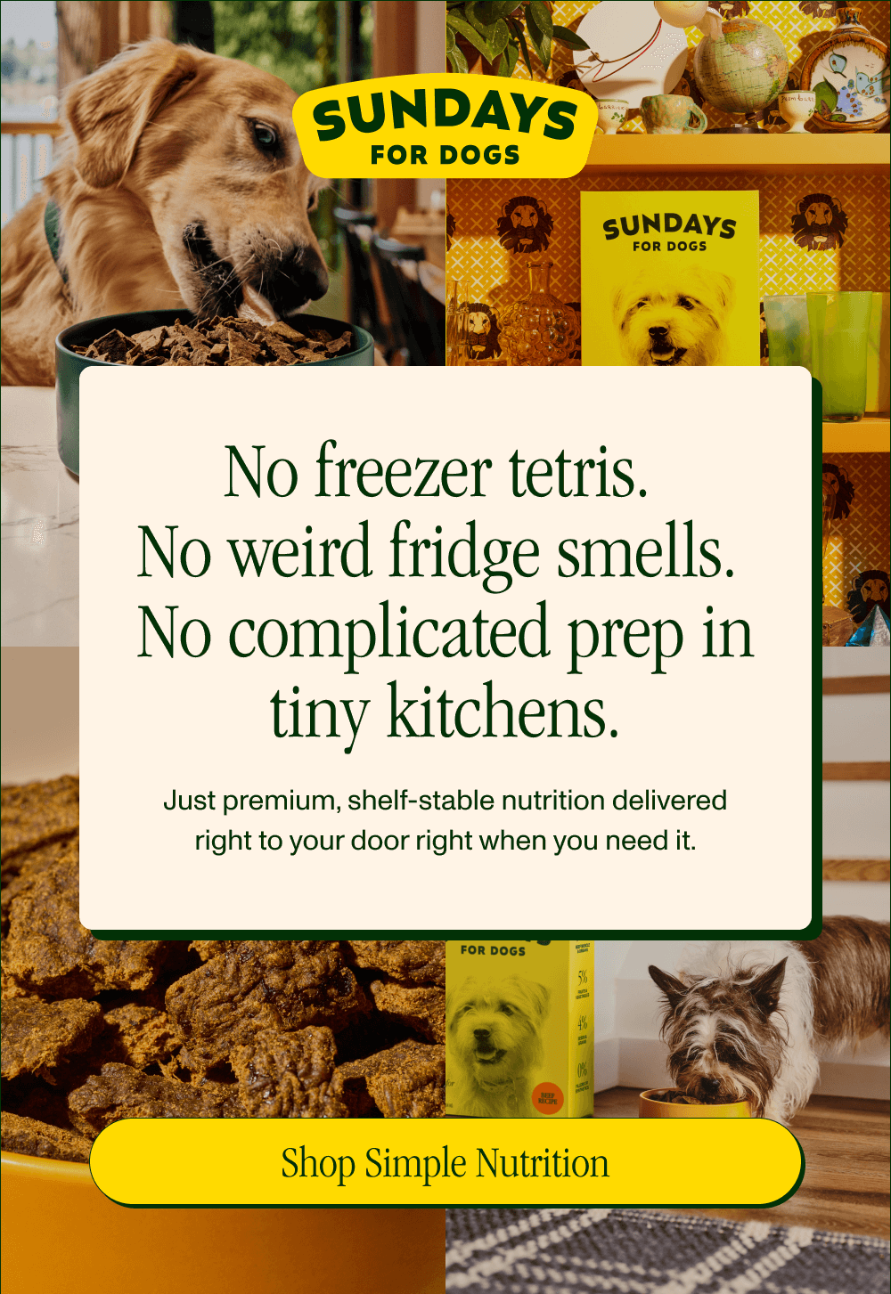 Required for Sundays: A hungry dog  A small shelf (Or a corner of the floor. We don’t judge.)  [Shop Simple Nutrition]