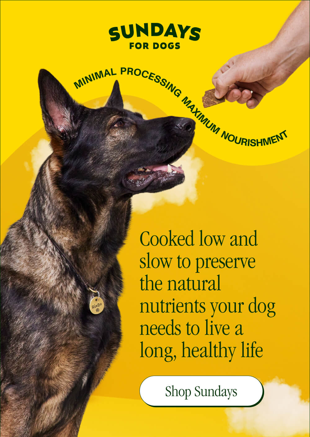 MINIMAL PROCESSING MAXIMUM NOURISHMENT  Cooked low and slow to preserve the natural nutrients your dog needs to live a long, healthy life  [Shop Sundays]