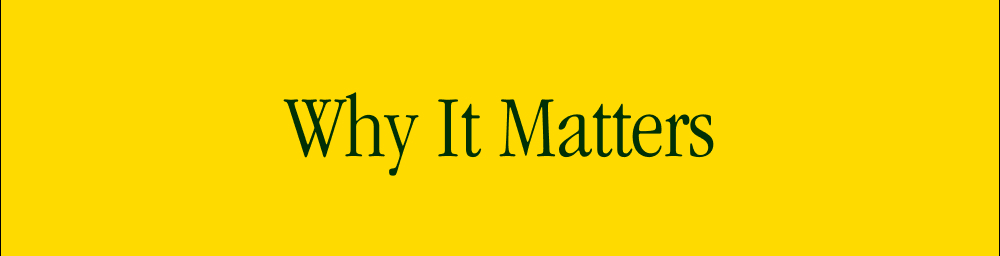 WHY IT MATTERS