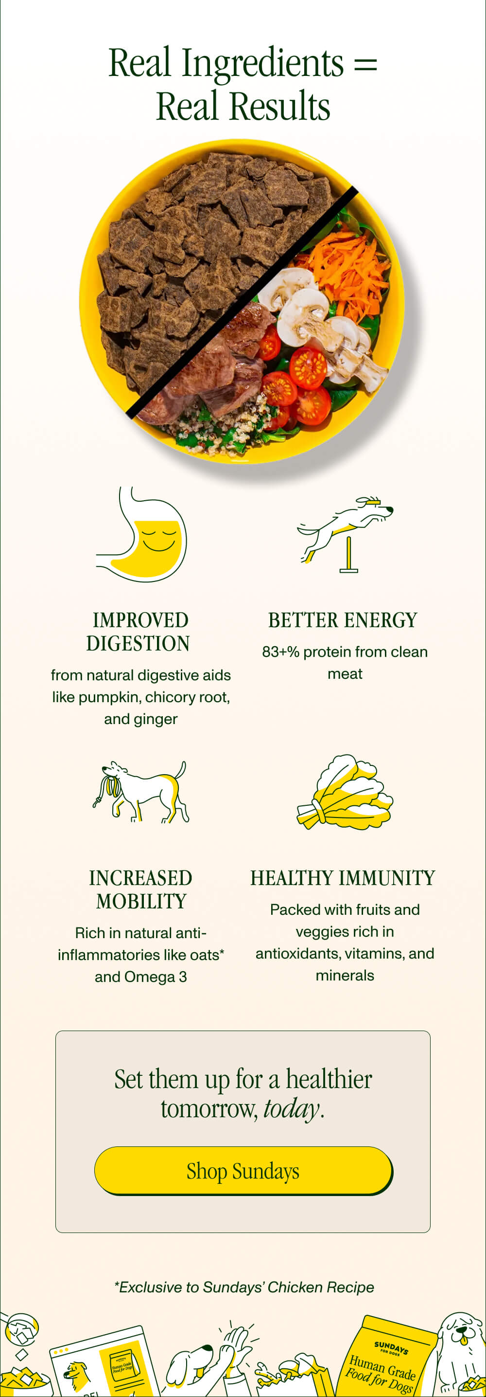 Real Ingredients = Real Results  Improved Digestion  from natural digestive aids like pumpkin, chicory root, and ginger  Better Energy  83+% protein from clean meat   Increased Mobility Rich in natural anti-inflammatories like oats* and Omega 3  Healthy Immunity  Packed with fruits and veggies rich in antioxidants, vitamins, and minerals  Set them up for a healthier tomorrow, today. [Shop Sundays]  *Exclusive to Sundays’ Chicken Recipe