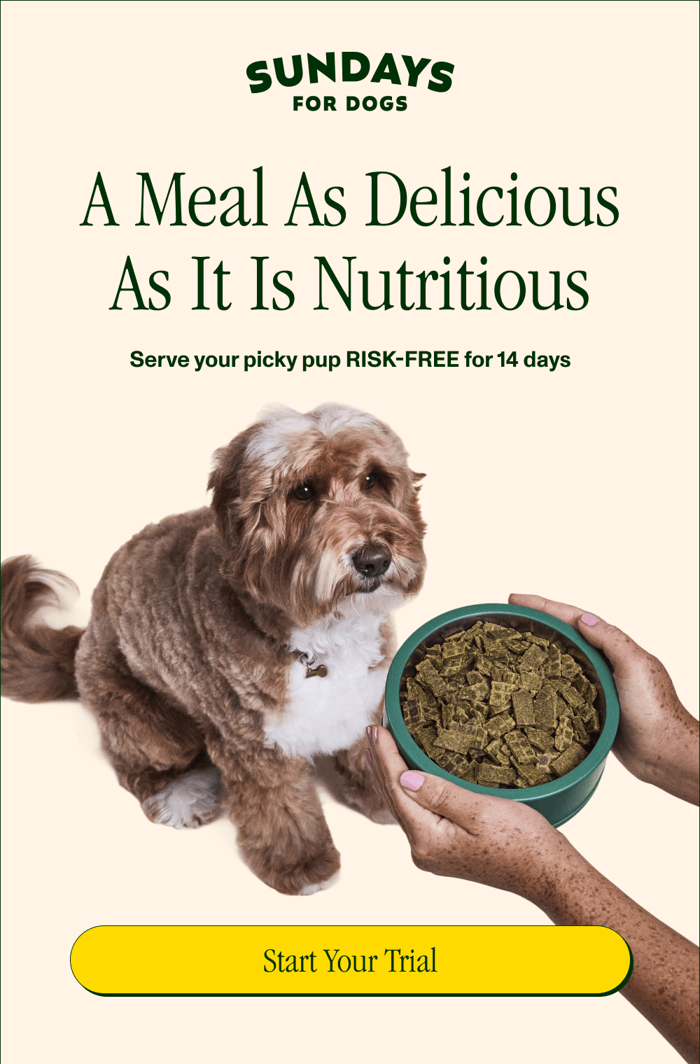 A Meal as Delicious as it Is Nutritious   Serve your picky pup RISK-FREE for 14 days  [Start Your Trial]