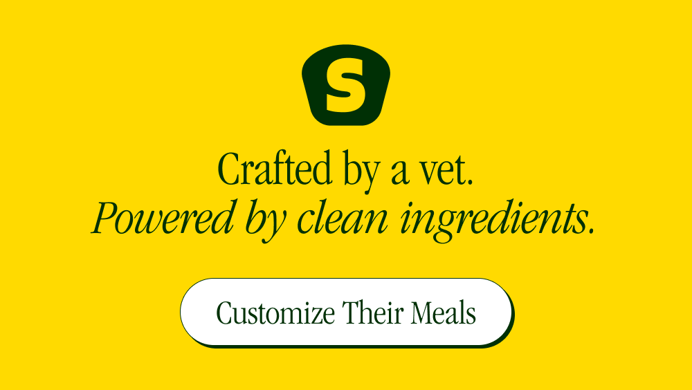 Crafted by a vet. Powered by clean ingredients. [ Customize Their Meals ]