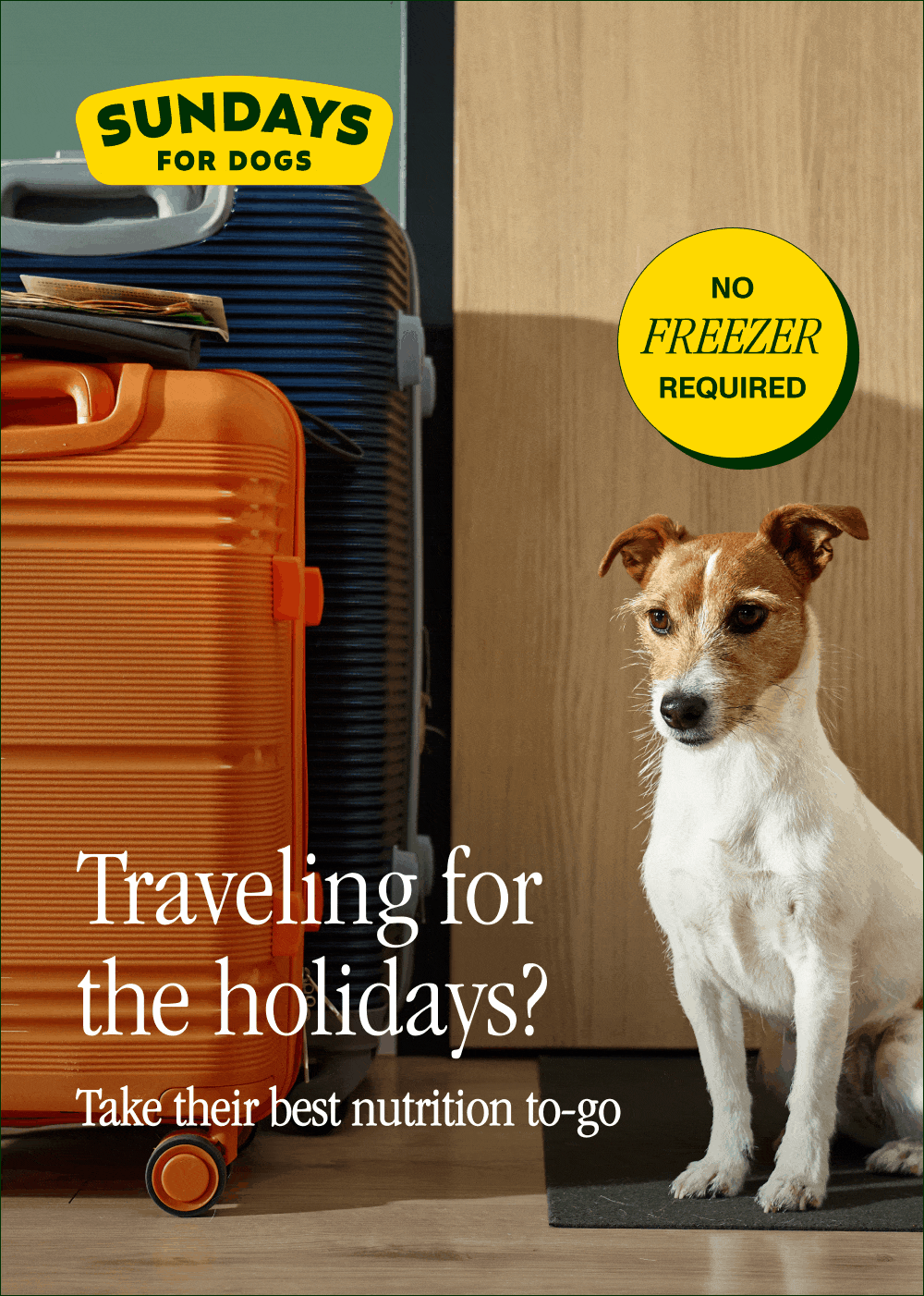Traveling for the holidays?  Take their best nutrition to-go