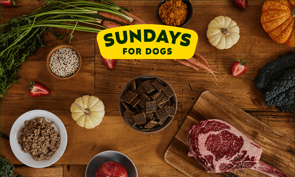 SUNDAYS FOR DOGS