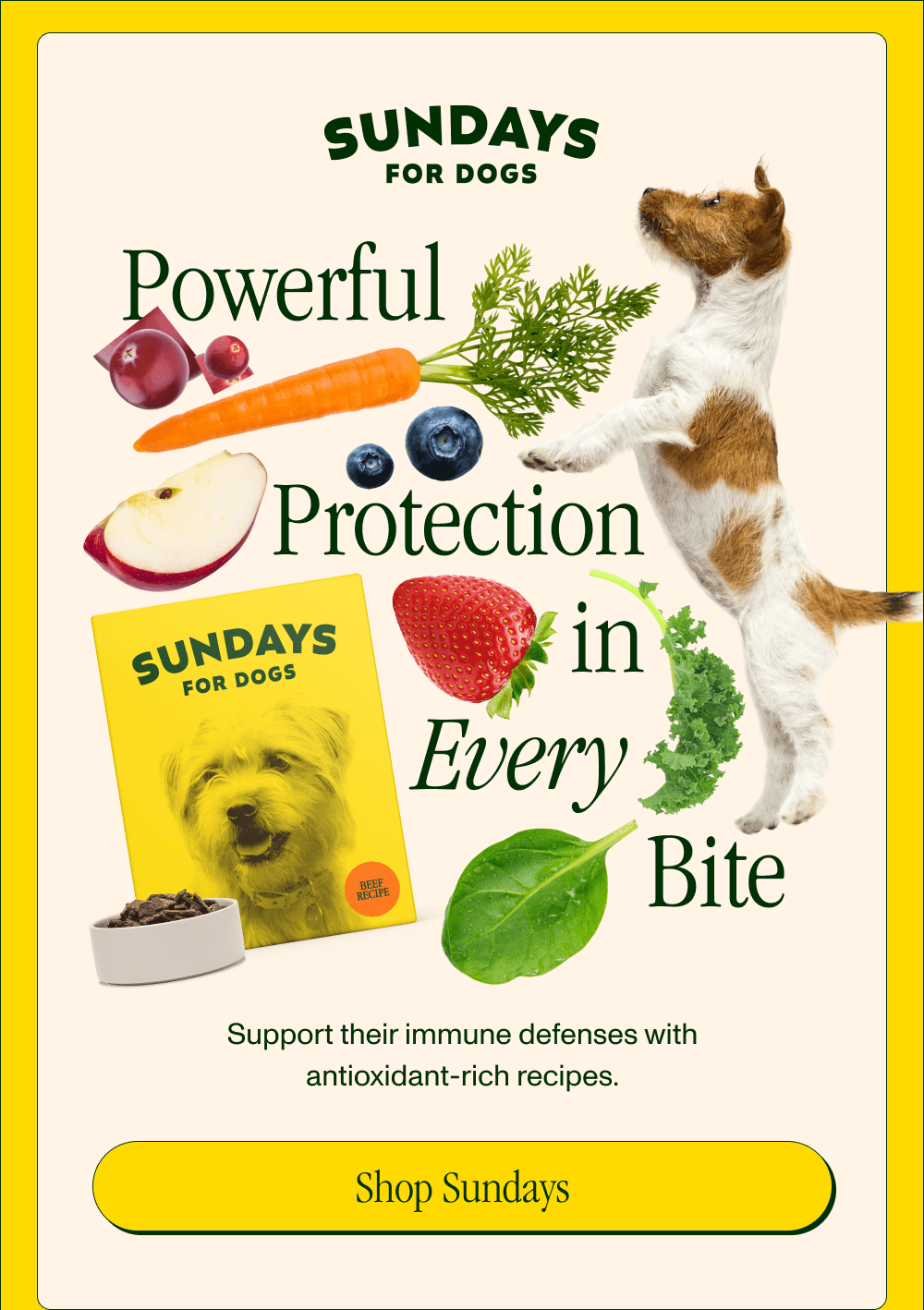 Powerful Protection in Every Bite  Support their immune defenses with antioxidant-rich recipes.  [Shop Sundays]