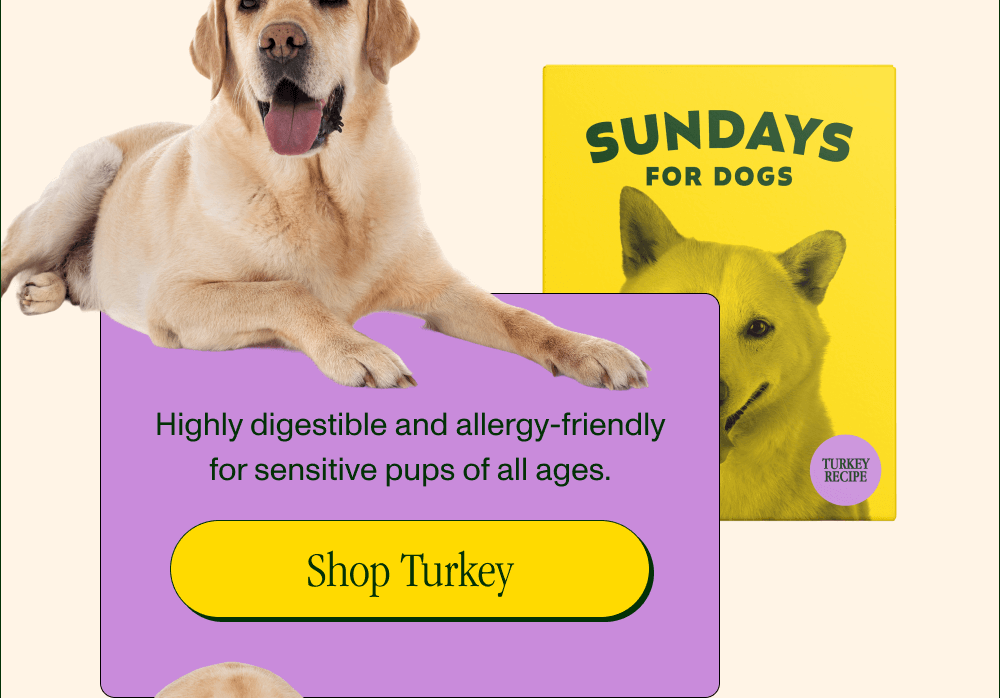 Highly digestible and allergy-friendly for sensitive pups of all ages.  [Shop Turkey]
