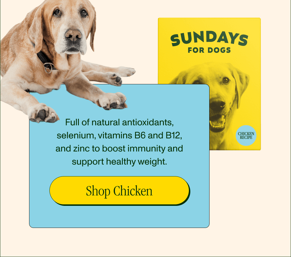 Rich in natural antioxidants, selenium, vitamins B6 and B12, and zinc to boost immunity and support healthy weight.   [Shop Chicken]