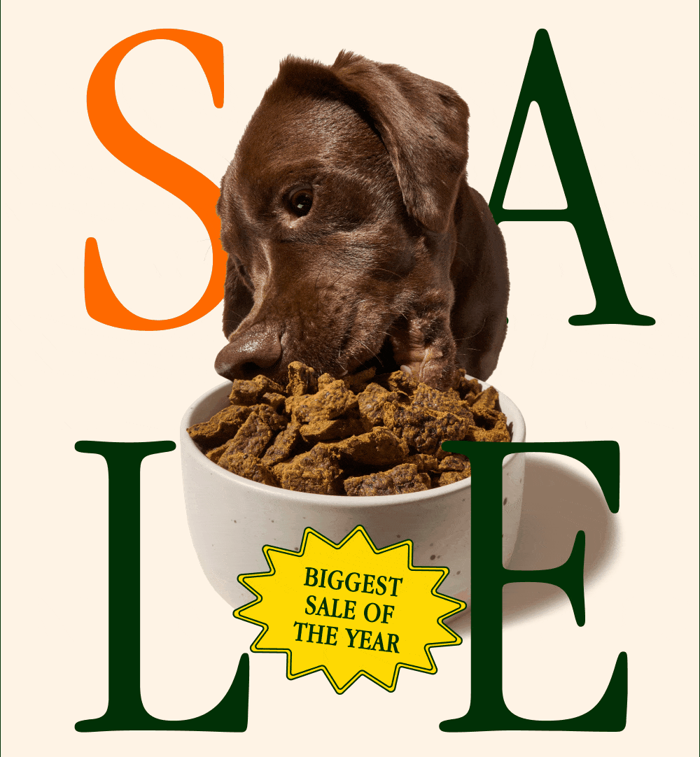 SALE  BIGGEST SALE OF THE YEAR