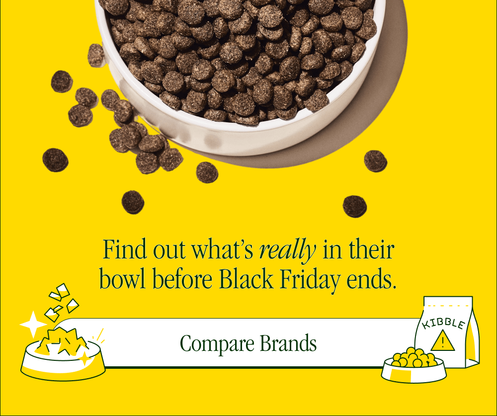 Find out what’s really in their bowl before Black Friday ends.  [ COMPARE BRANDS ]