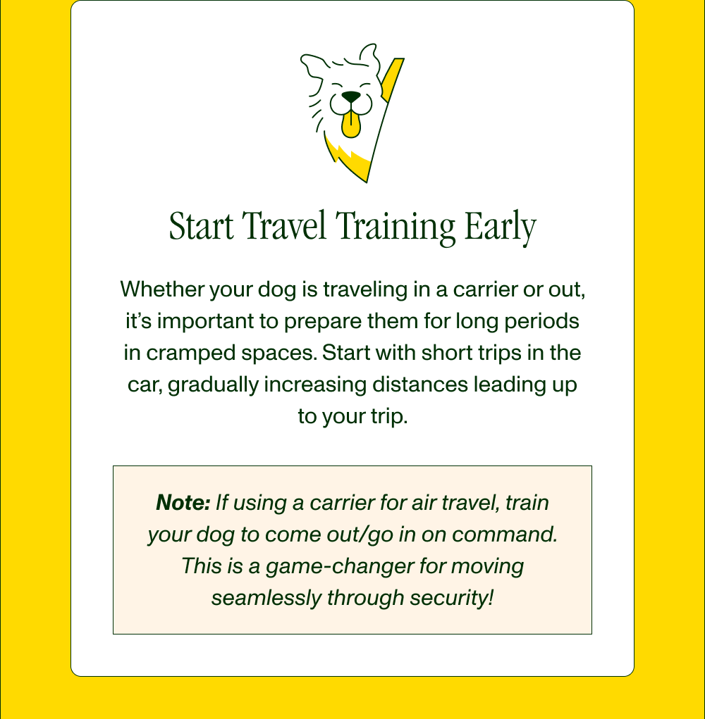 Start Travel Training Early Whether your dog is traveling in a carrier or out, it’s important to prepare them for long periods in cramped spaces. Start with short trips in the car, gradually increasing distances leading up to your trip.   Note: If using a carrier for air travel, train your dog to come out/go in on command. This is a game-changer for moving seamlessly through security!