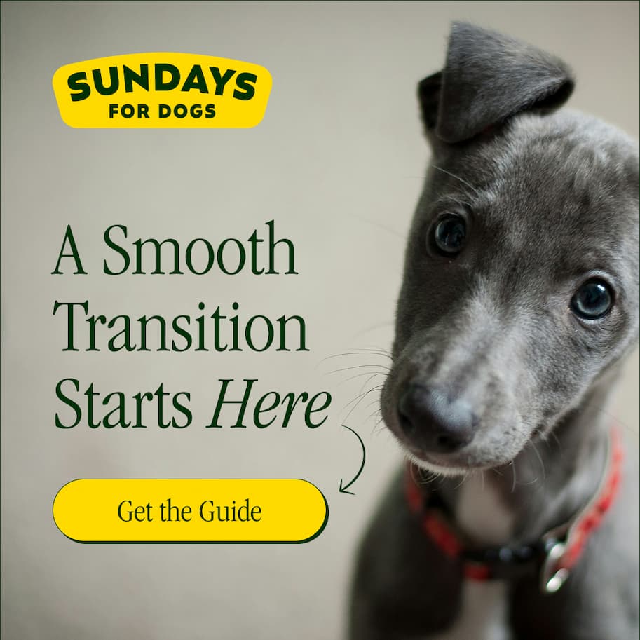 A Smooth Transition Starts Here