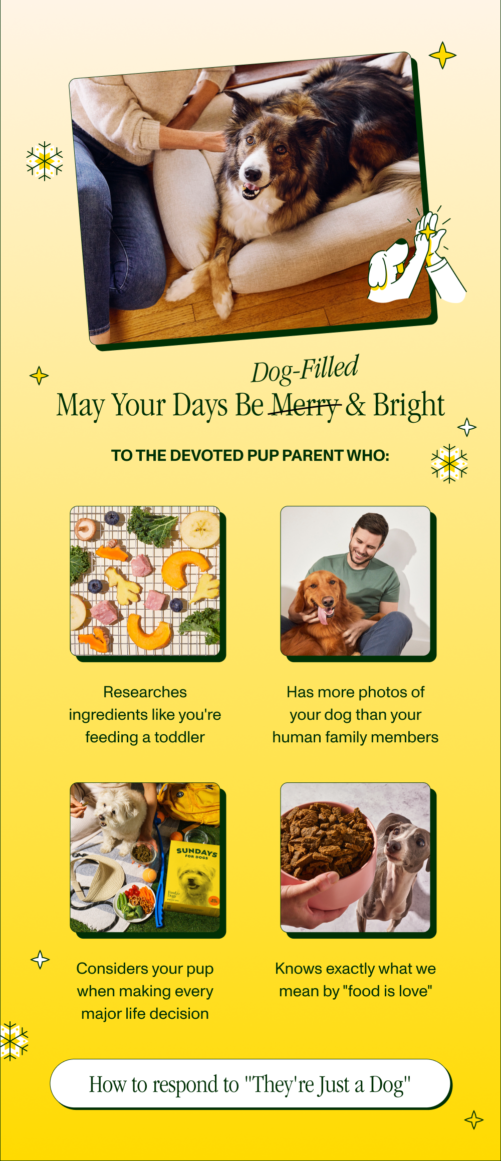 How to respond to "they're just a dog"