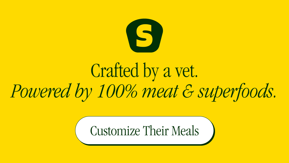 Crafted by a vet. Powered by 100% meat & superfoods. Customize Their Meals