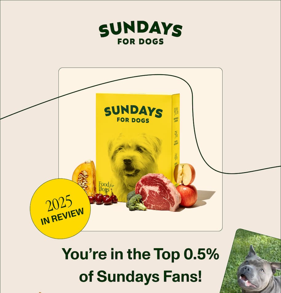 You’re in the Top 0.5% of Sundays Fans! DOGS SERVED 162,021 That’s a lot of happy tail wags! TOP ...