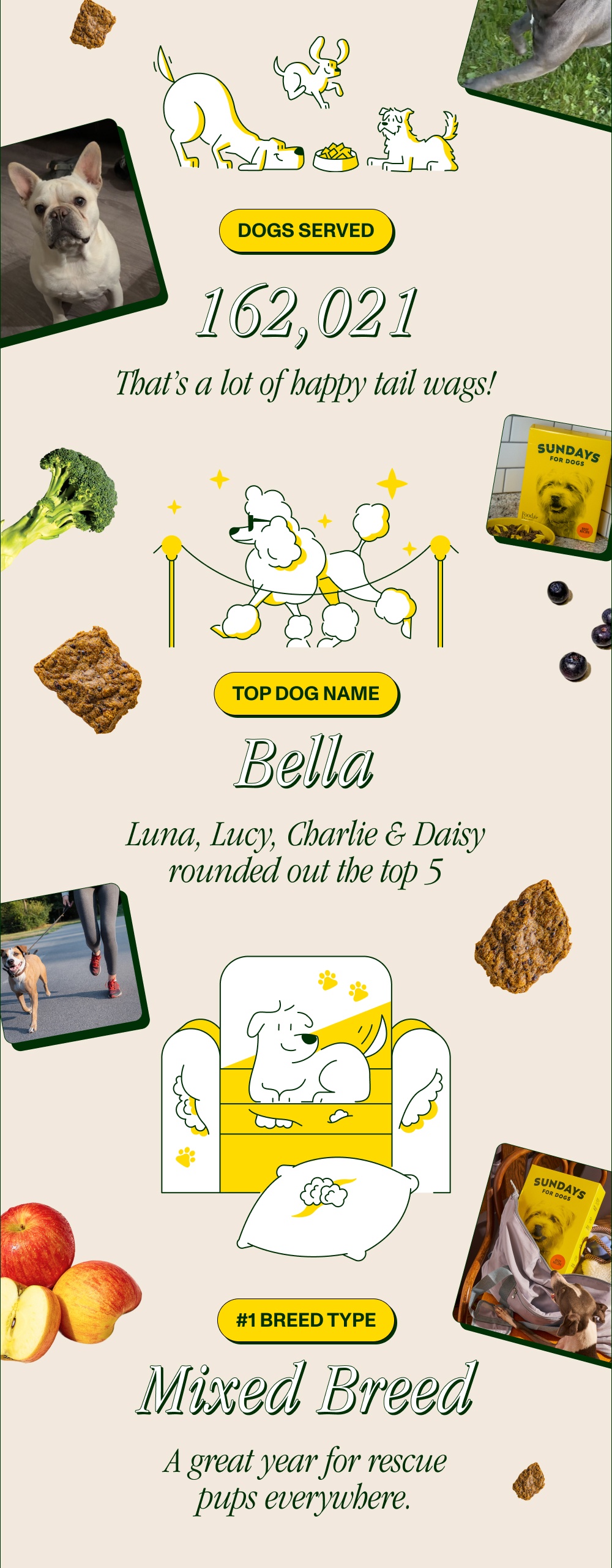 You’re in the Top 0.5% of Sundays Fans! DOGS SERVED 162,021 That’s a lot of happy tail wags! TOP ...