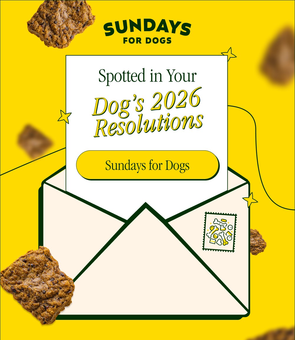 Spotted in Your Dog’s 2026 Resolutions Sundays for Dogs