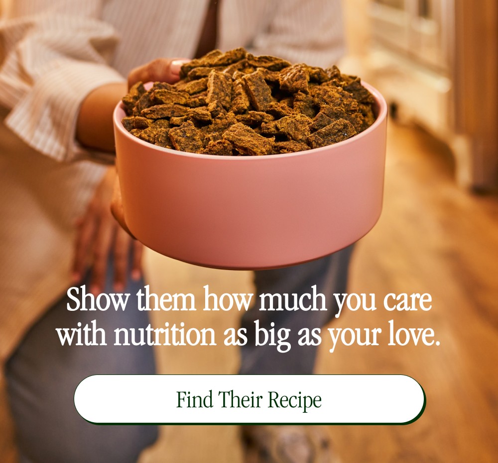 Show them how much you care with nutrition as big as your love. Find Their Recipe