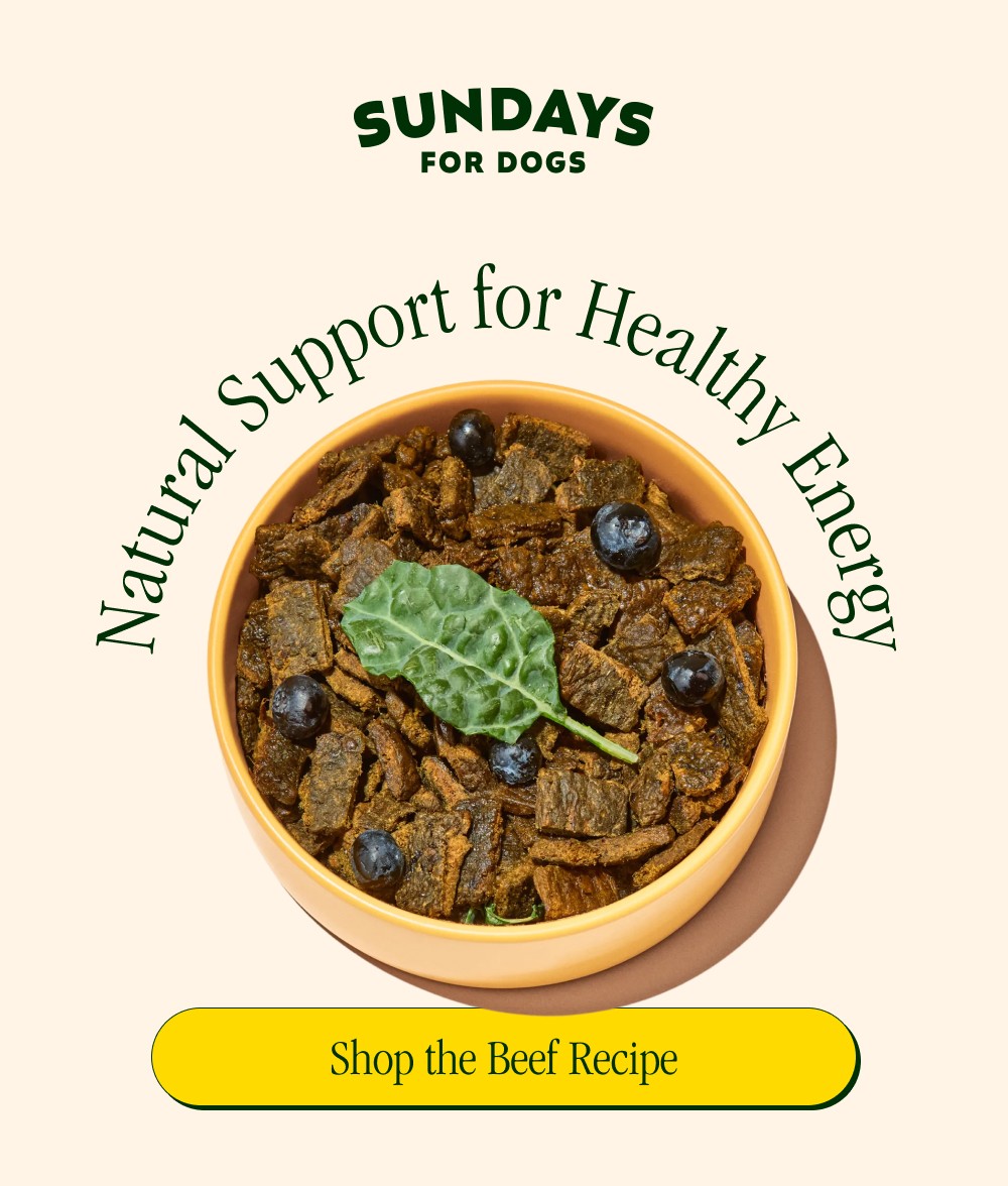 Shop the Beef Recipe